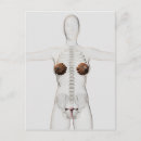 Search for three dimensional postcards Square image