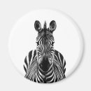 Search for zebra round magnets Black and white