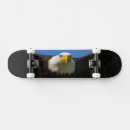 Search for prey skateboards Predator