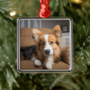 Search for welsh decorations christmas tree decorations Pet