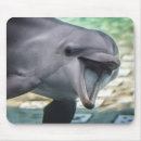 Search for bottlenose dolphin electronics Cute
