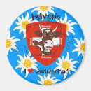Search for kine magnets For kids