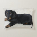 Search for mini cushions Dachshund
