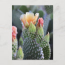 Search for yellow postcards Summer