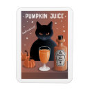 Search for bottles magnets Cat