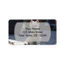 Search for terrier dog return address labels Westie
