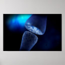 Search for synapses posters Impulse