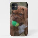 Search for mastiff iphone cases Puppy
