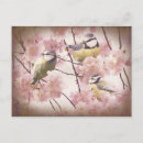 Search for tit postcards Vintage