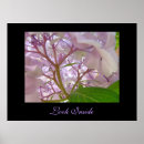 Search for inside art Purple