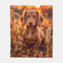 Search for dachshund thanksgiving Fall