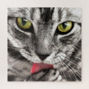 Search for cat face puzzles Animal
