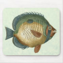 Search for animal mousepads Fish