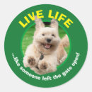 Search for running dog stickers Animal