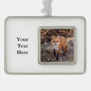 Search for silver fox christmas tree decorations Nature