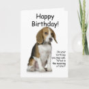 Search for beagling cards Pets