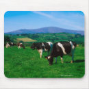 Search for horizontal mousepads Europe