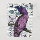 Search for pink parrot postcards Antique
