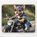Search for motorcycle electronics Fun