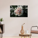 Search for purity posters White