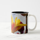 Search for low angle view mugs Close
