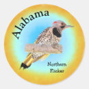 Search for state of alabama stickers Northern flicker