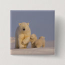 Search for ursus badges North america
