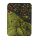 Search for botanical study magnets Leaves