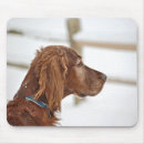 Search for setter mousepads Pet