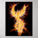 Search for aves posters Animal