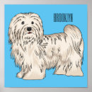 Search for havanese posters Dog