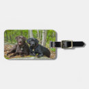Search for chocolate lab accessories Pets
