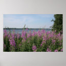 Search for finnish art Red
