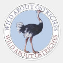 Search for ostrich stickers Wildlife