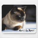 Search for siamese electronics Pet