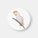 Search for hand drawing magnets Cute