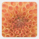 Search for dahlia blossom stickers Flower