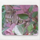 Search for cats eye mousepads Pets