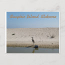 Search for blue heron postcards Wildlife