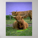 Search for highland cow posters Green