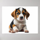 Search for beagle puppy posters Portrait