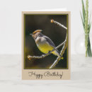 Search for cedar cards Bird