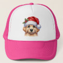 Search for santa claus hats Dogs