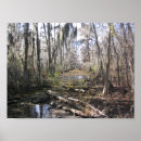 Search for bayou posters Louisiana