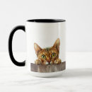 Search for abyssinian cat Cute