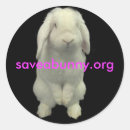 Search for rabbit ears stickers Bunny