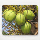 Search for coconuts mousepads Tree