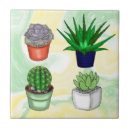 Search for succulent tiles Nature
