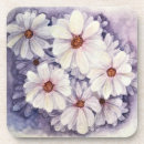 Search for african daisies barware Flower