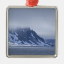 Search for attraction christmas tree decorations Coast